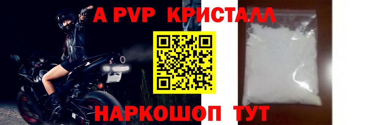 A PVP СК Шадринск