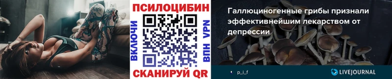 это состав  мега как войти  Шадринск  Галлюциногенные грибы Magic Shrooms 