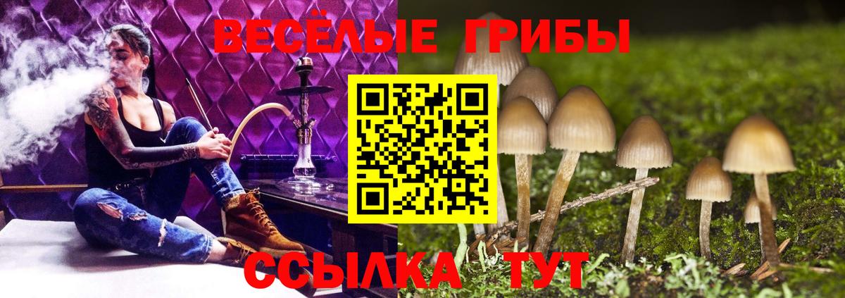 Галлюциногенные грибы Magic Shrooms Шадринск