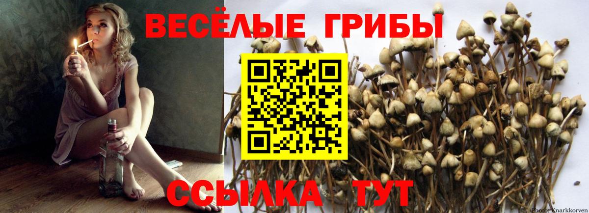 Шадринск  Галлюциногенные грибы GOLDEN TEACHER  Псилоцибиновые грибы мухоморы  Вход с VPN 